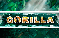 Игровой аппарат Gorilla