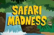 Игровой аппарат Safari Madness