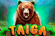 Игровой автомат Taiga